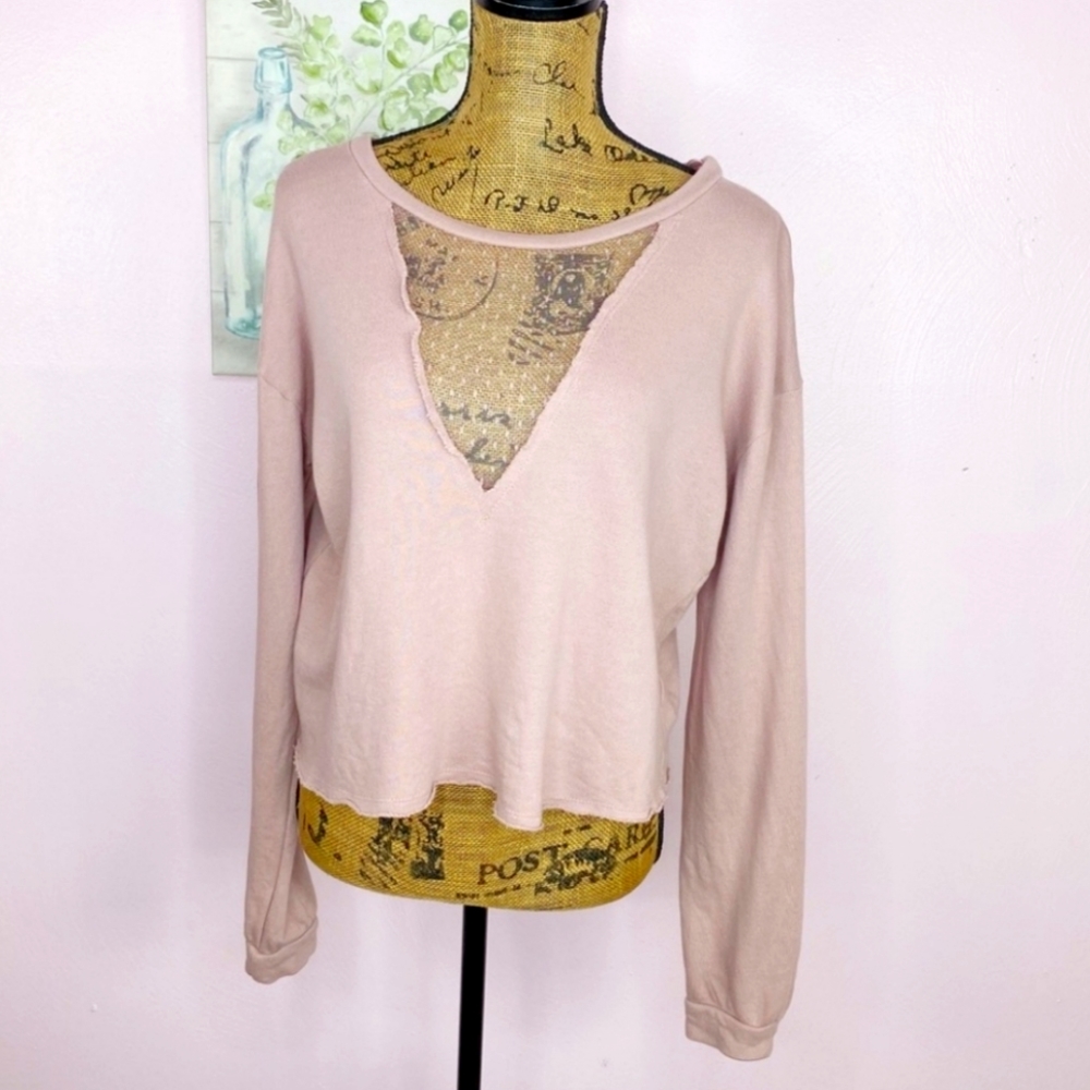 Alya Francesca’s Sheer Swiss Dot Inset Cropped Sweatshirt Blush Taupe Medium